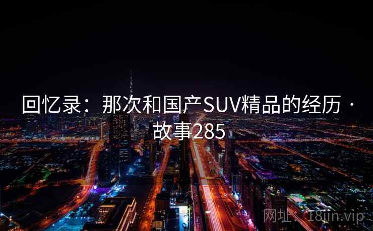 回忆录：那次和国产SUV精品的经历 · 故事285