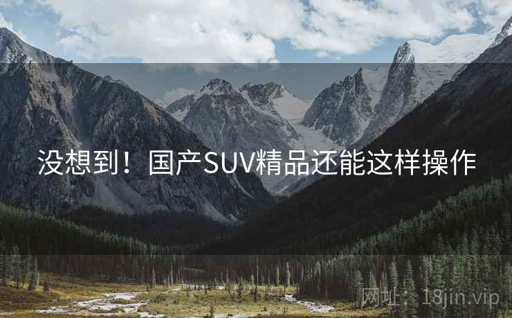 没想到！国产SUV精品还能这样操作  第2张