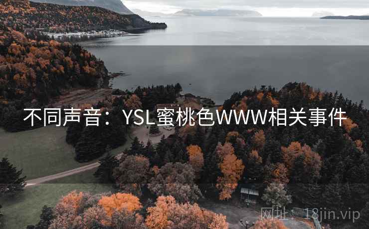 不同声音:YSL蜜桃色WWW相关事件  第2张 不同声音:YSL蜜桃色WWW相关事件  第2张
