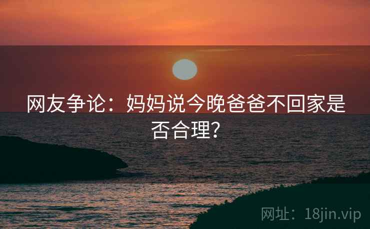网友争论:妈妈说今晚爸爸不回家是否合理?